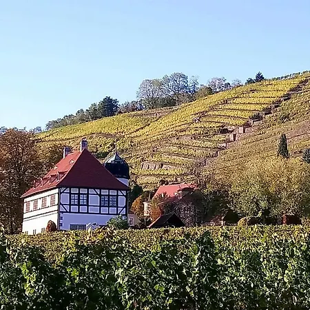 Bauwagen Maibeere * Radebeul