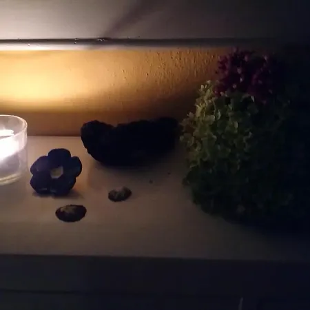 Bauwagen Maibeere Campsite *