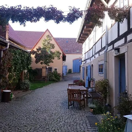 Bauwagen Maibeere