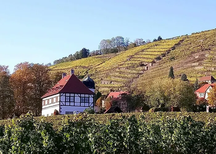 Bauwagen Maibeere * Radebeul