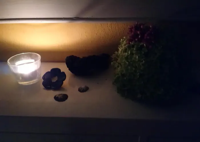 Bauwagen Maibeere Kemp *